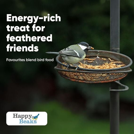 Happy Beaks - Meal Worms (Bag)